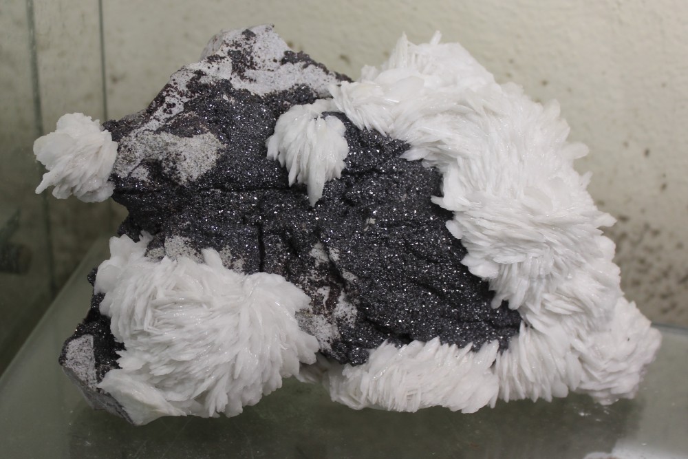 IMG_9421 (2)  20x12cm.JPG