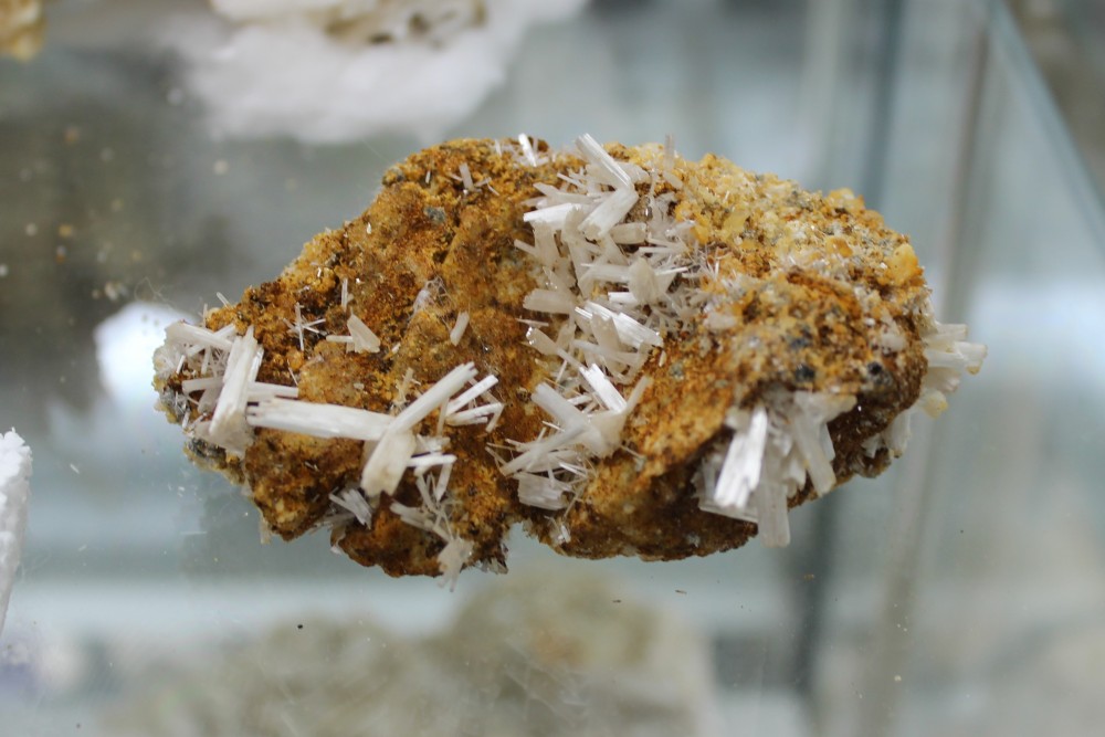 IMG_9669 (2) 9x4.5cm.JPG