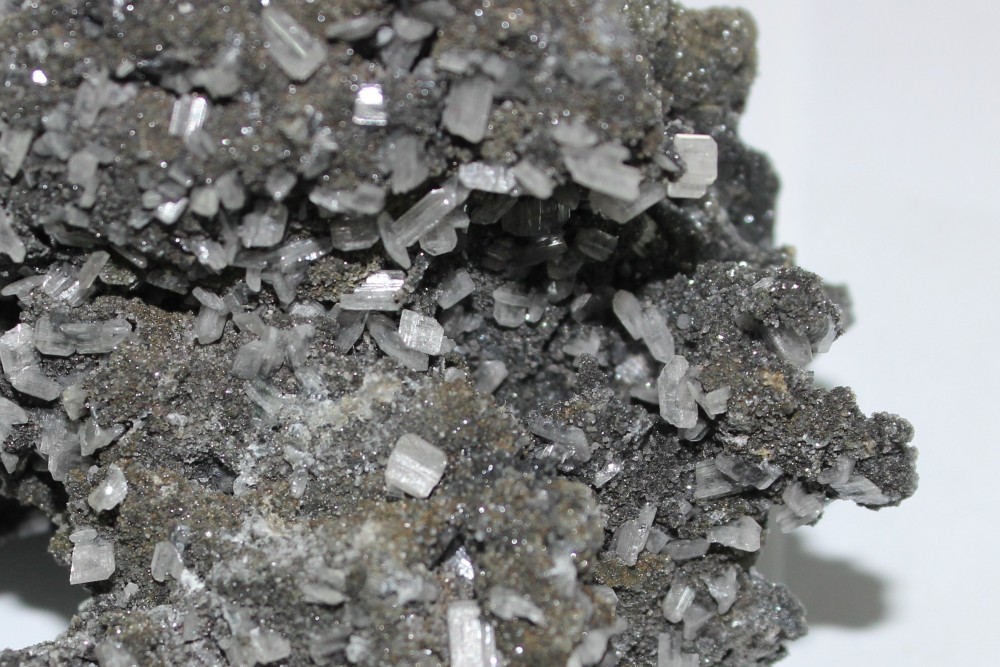 IMG_0254 (3) 10x9cm.JPG