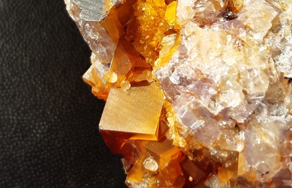 Fluo Maxonchamps.jpg