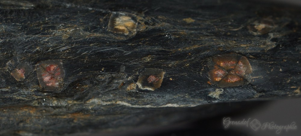 st efflam fov 4cm.JPG