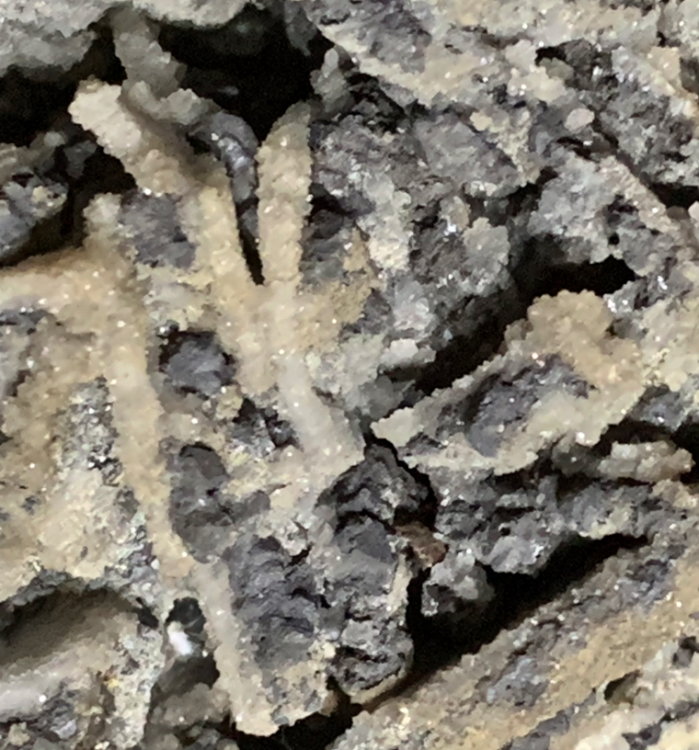 Capture d’écran 2021-04-13 à 01.18.28.png