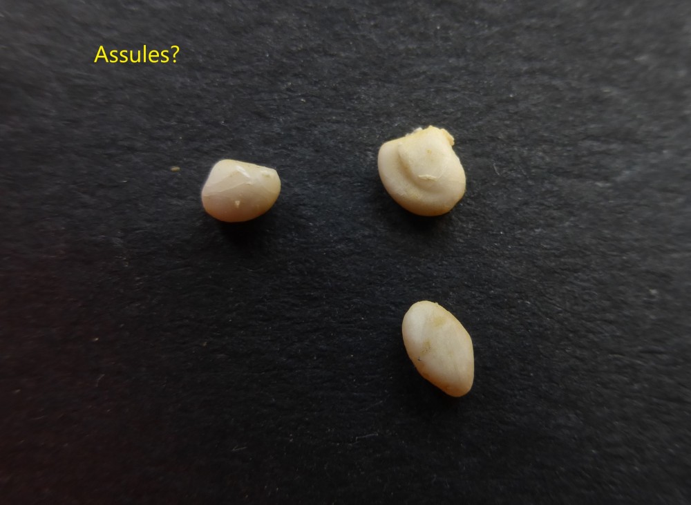 20210123143131_1 22.jpg