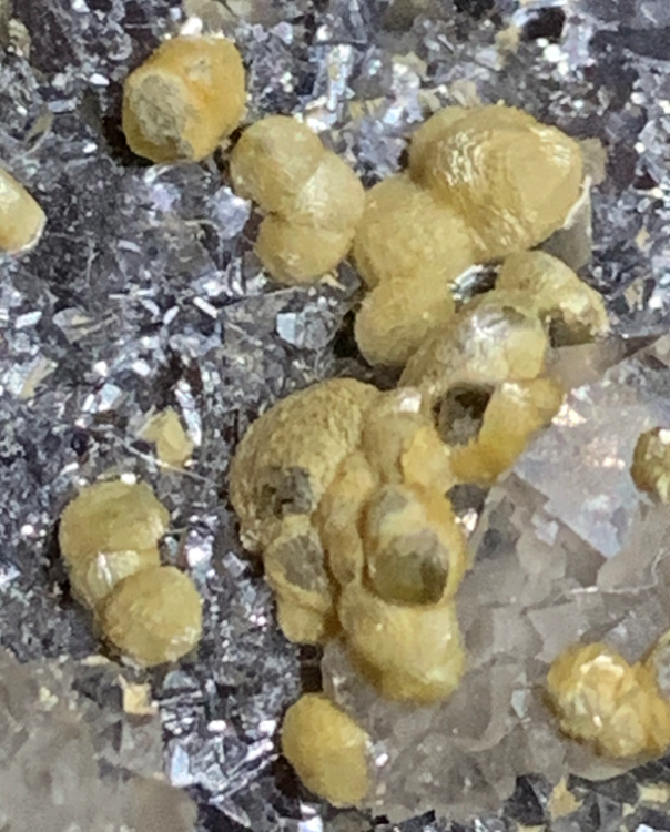 Capture d’écran 2021-04-15 à 00.36.47.png