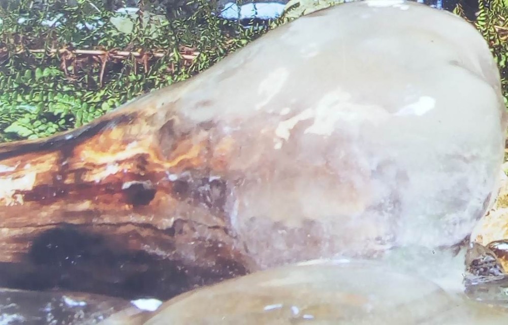 IMG_20210403_161539 - Copie.jpg