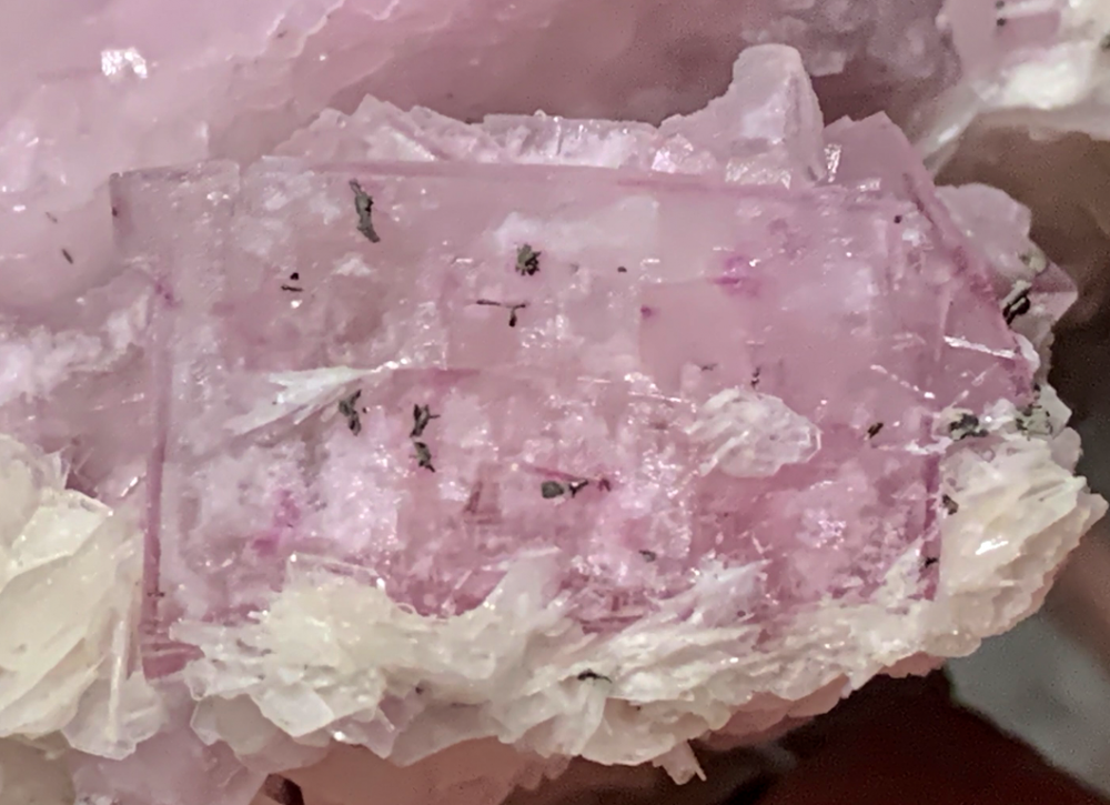 Capture d’écran 2021-04-13 à 01.19.22.png