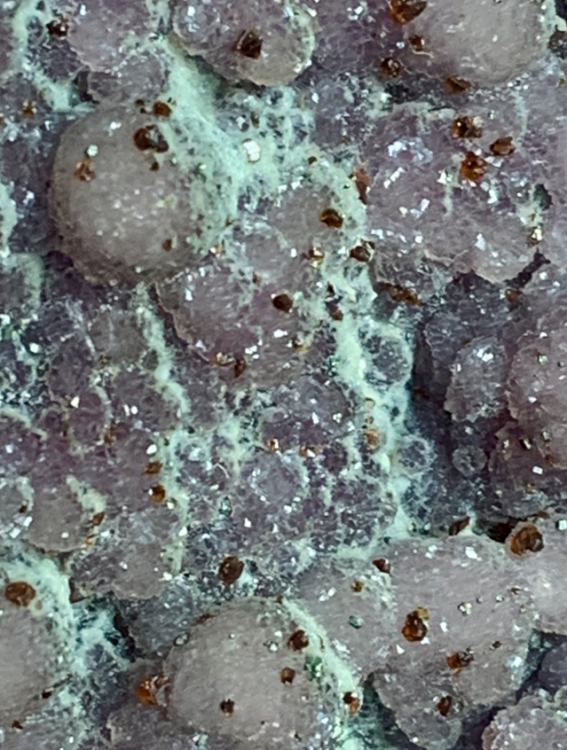 Capture d’écran 2021-05-01 à 11.04.16.png