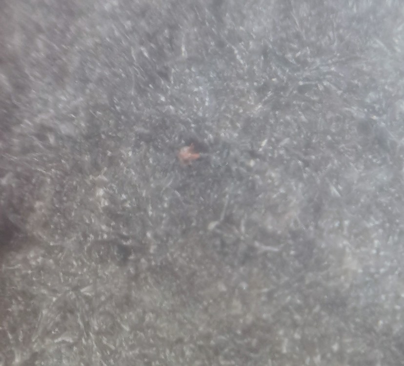 IMG_20210524_135911 (2).jpg