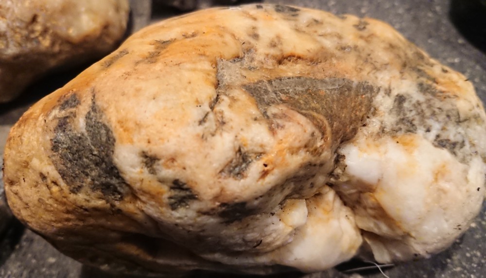 DSC_6028 - Copie.JPG