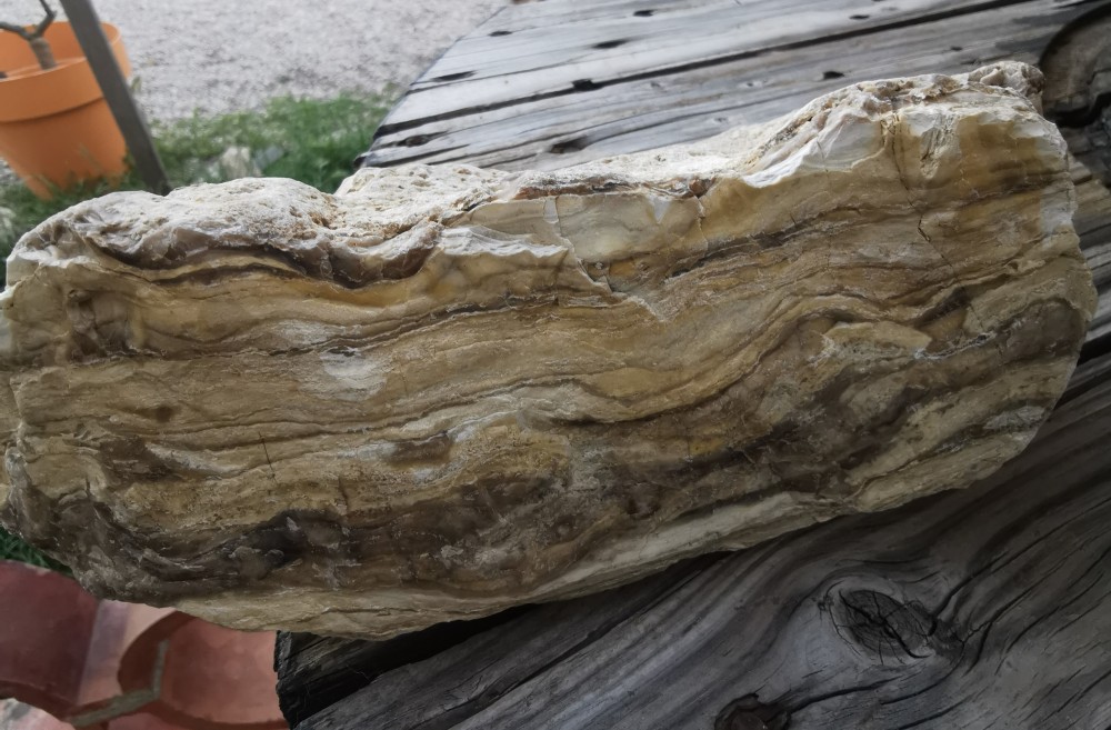 IMG_20210525_200238 (2).jpg