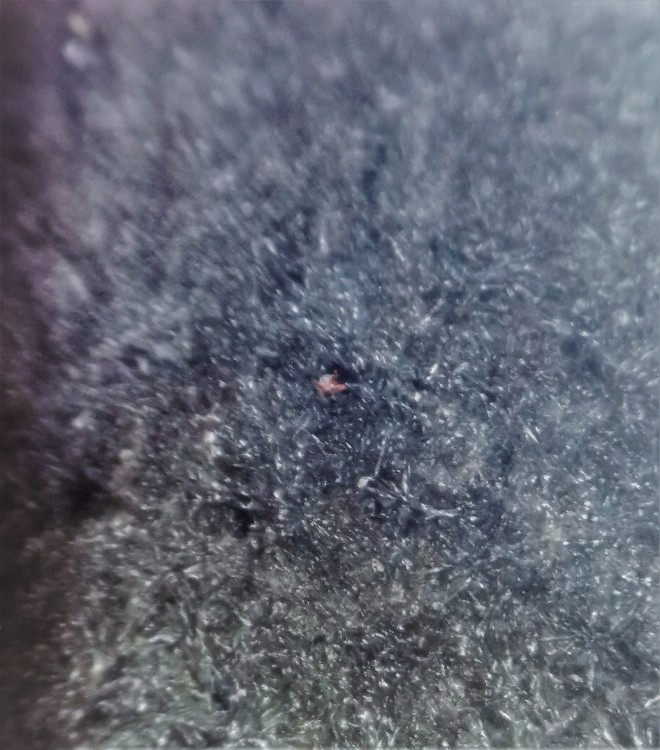 IMG_20210524_135903 (2).jpg