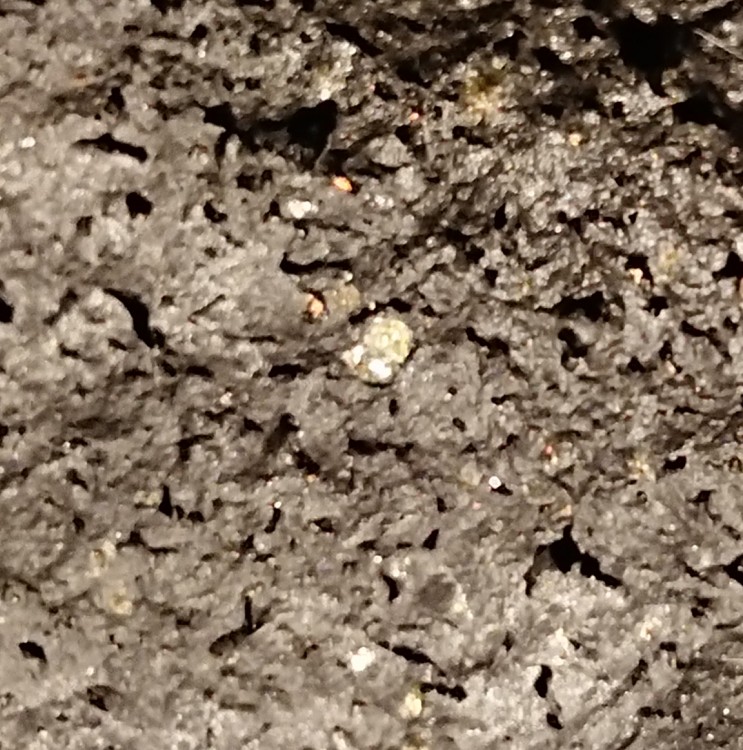 DSC_6030 - Copie - Copie.JPG