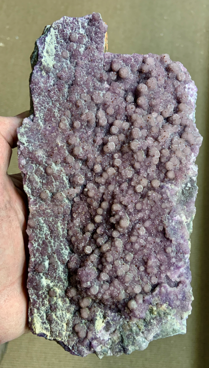 Capture d’écran 2021-05-01 à 11.03.49.png