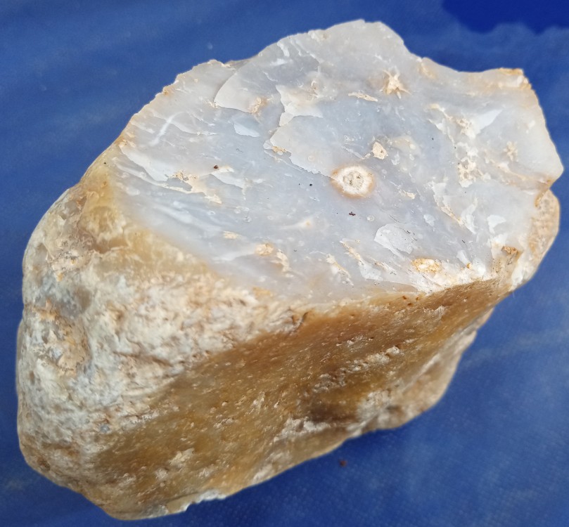 IMG_20210516_094936_2 bis.jpg