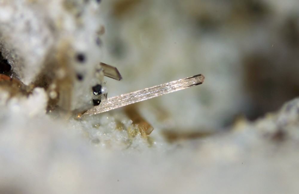 Zircon Courlande 005.jpg