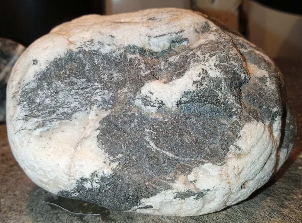 IMG_20210516_214942_2 - Copie.jpg