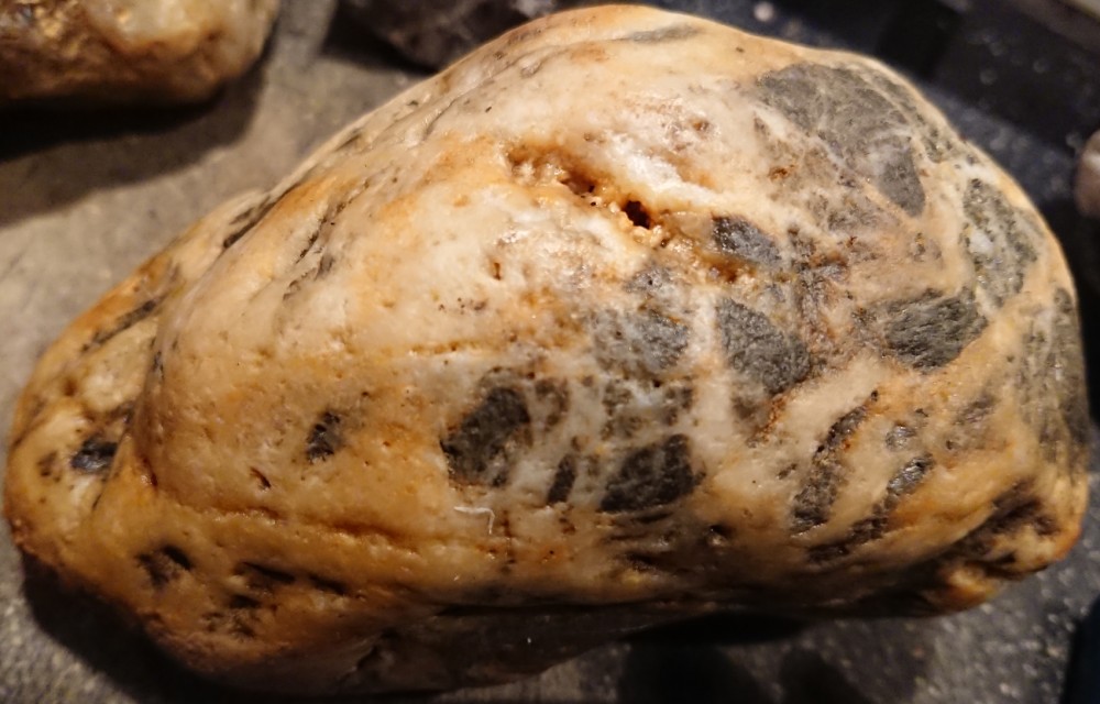 DSC_6027 - Copie.JPG