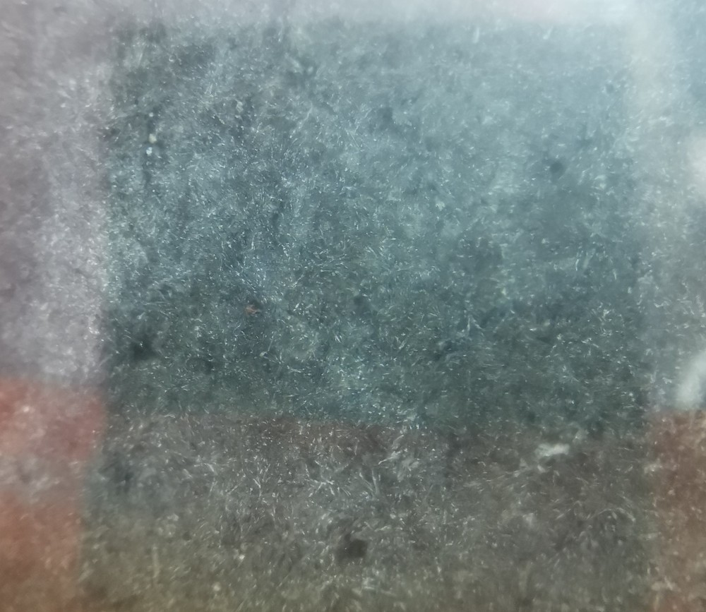 IMG_20210524_140203 (2).jpg