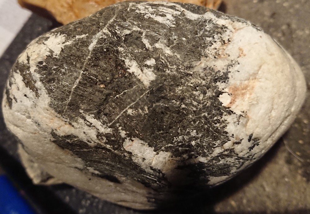 DSC_6017 - Copie.JPG