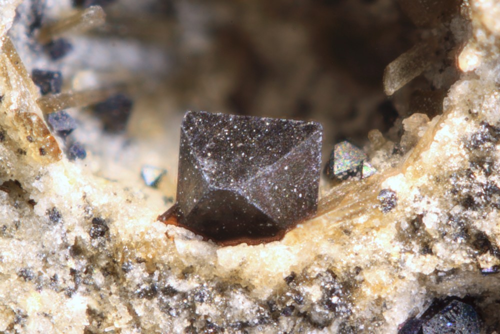 Magnétite Courlande 010.jpg