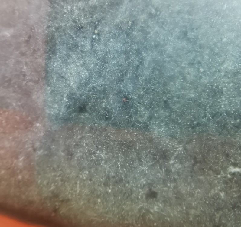 IMG_20210524_140214 (2).jpg