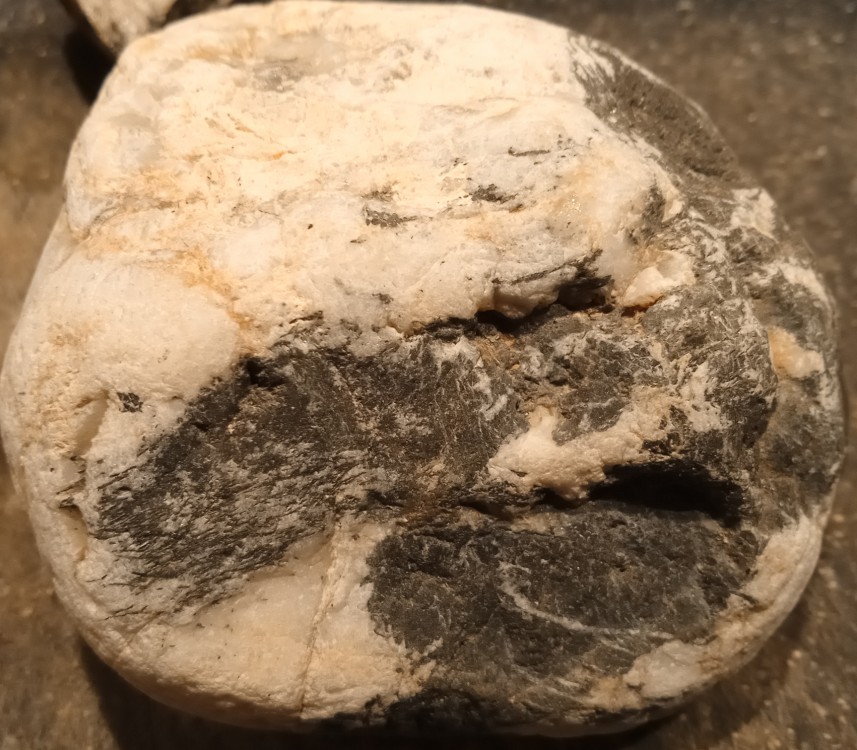 IMG_20210516_213551_9 - Copie.jpg