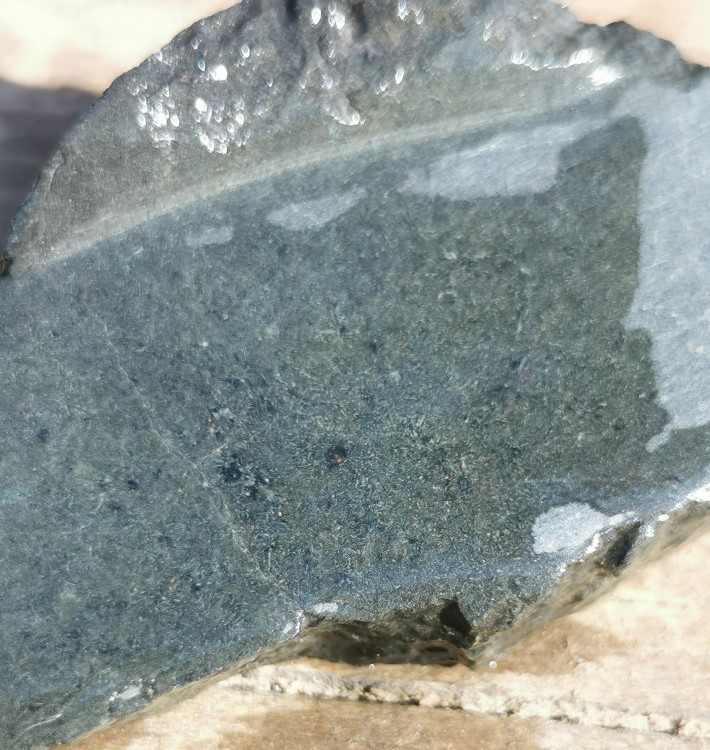 IMG_20210528_183018 (2).jpg