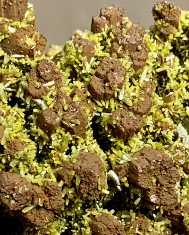 Capture d’écran 2021-05-03 à 22.14.32.png