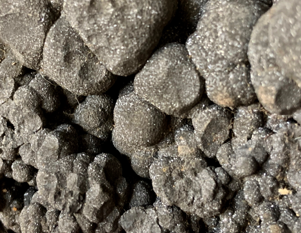 Capture d’écran 2021-05-30 à 22.56.01.png