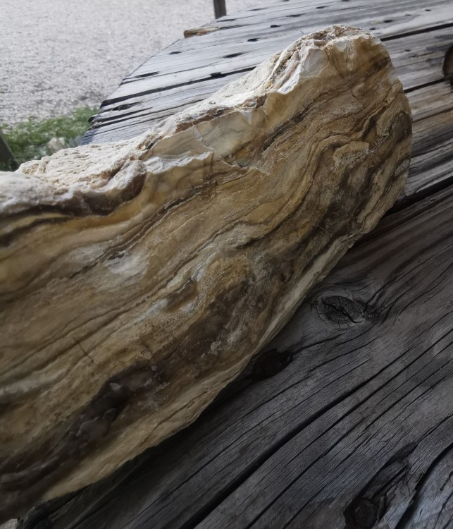 IMG_20210525_200226 (2).jpg