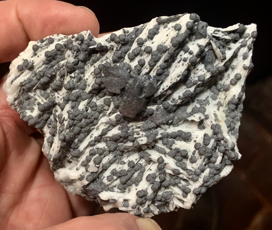 Capture d’écran 2021-05-02 à 23.35.34.png