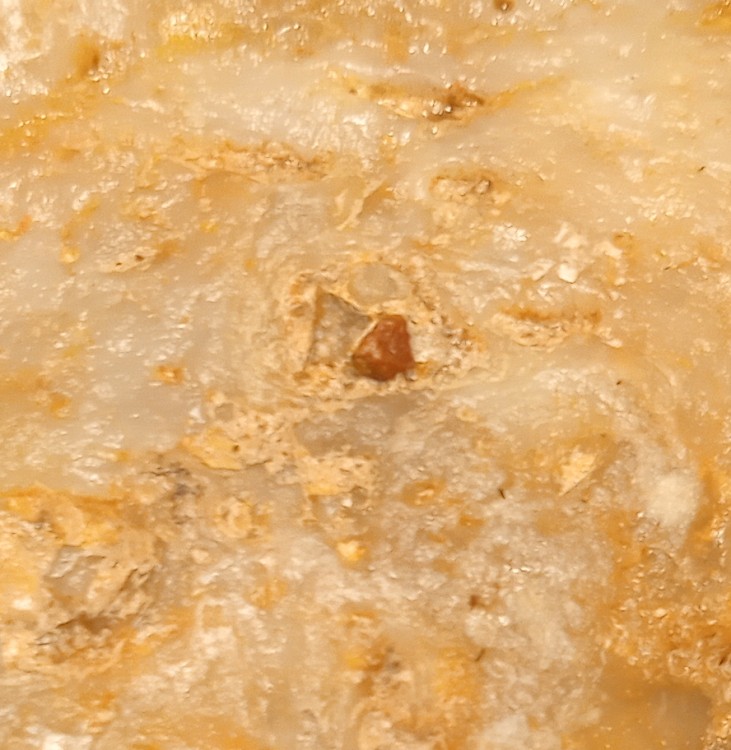 IMG_20210516_214702_3 copie copie.jpg