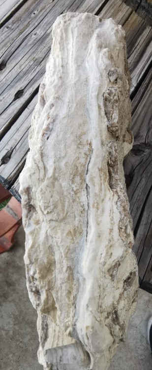 IMG_20210525_200210 (2).jpg