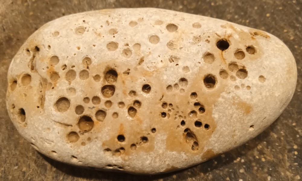 IMG_20210516_213258_4 - Copie.jpg