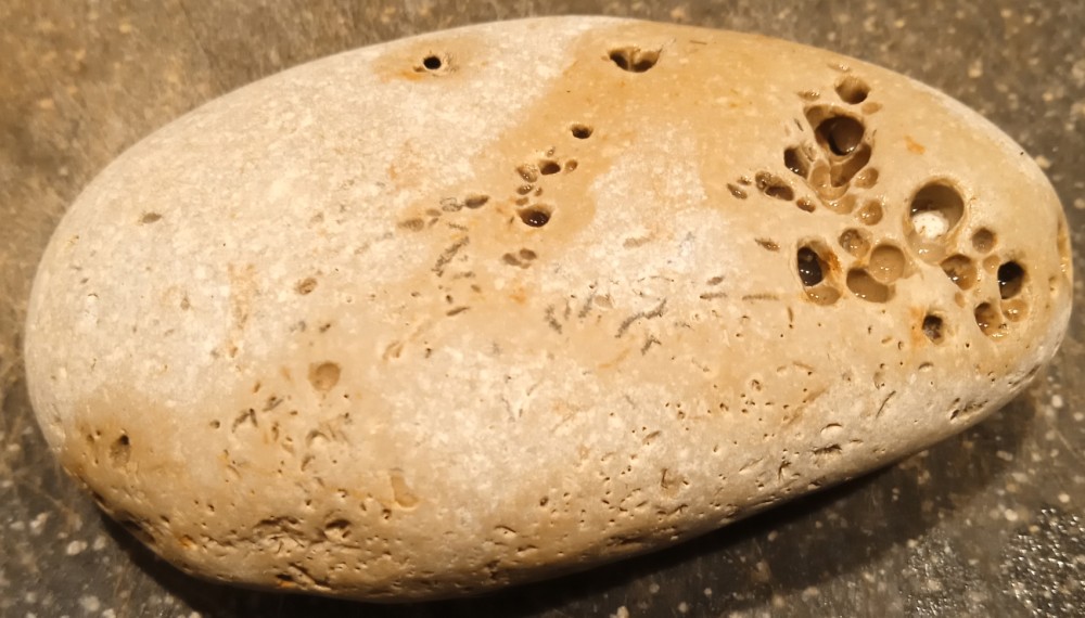 IMG_20210516_213331_7 - Copie.jpg