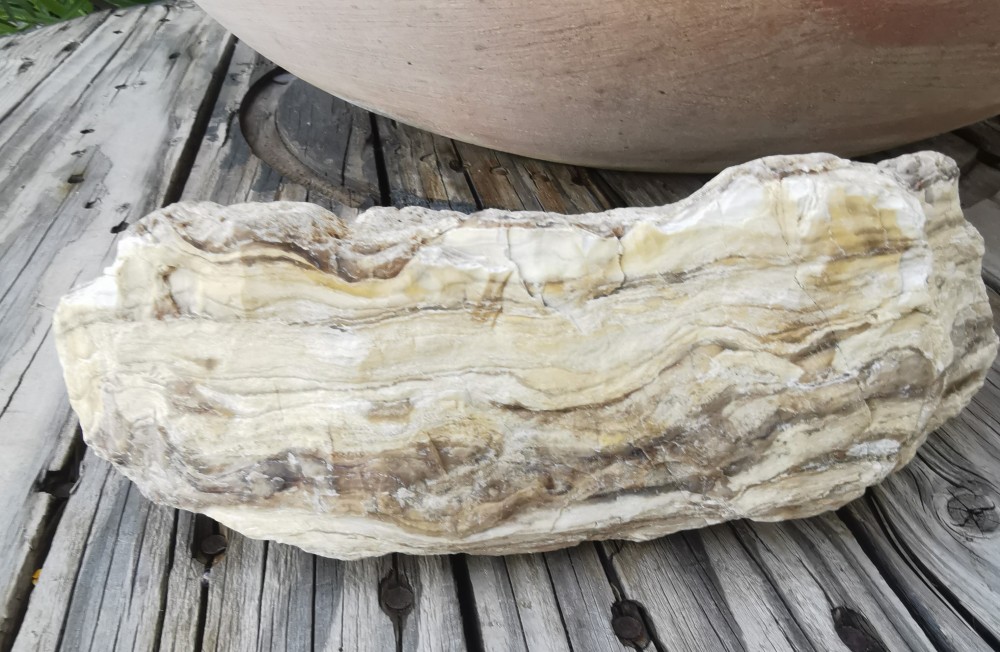 IMG_20210525_200307 (2).jpg