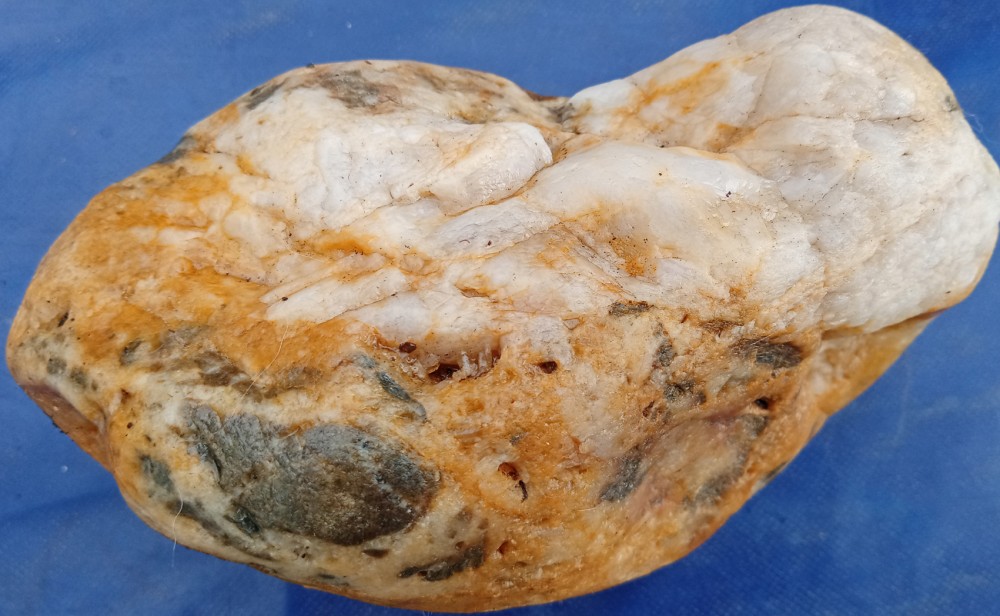 IMG_20210516_095019_7 bis - Copie.jpg