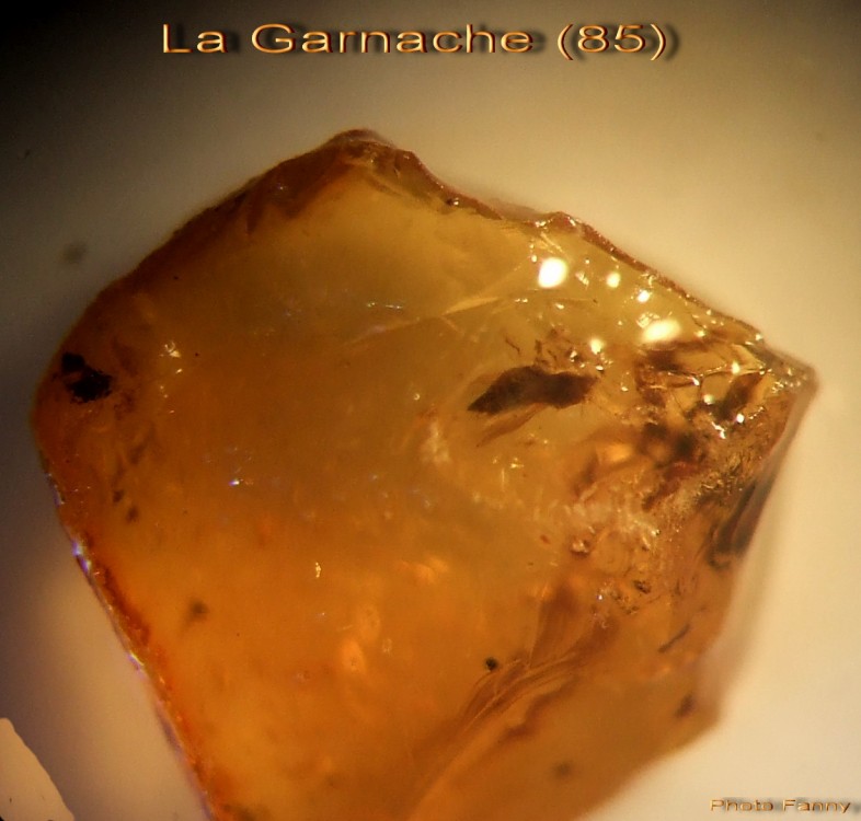 DSCF6585 La Garnache 2002.jpg