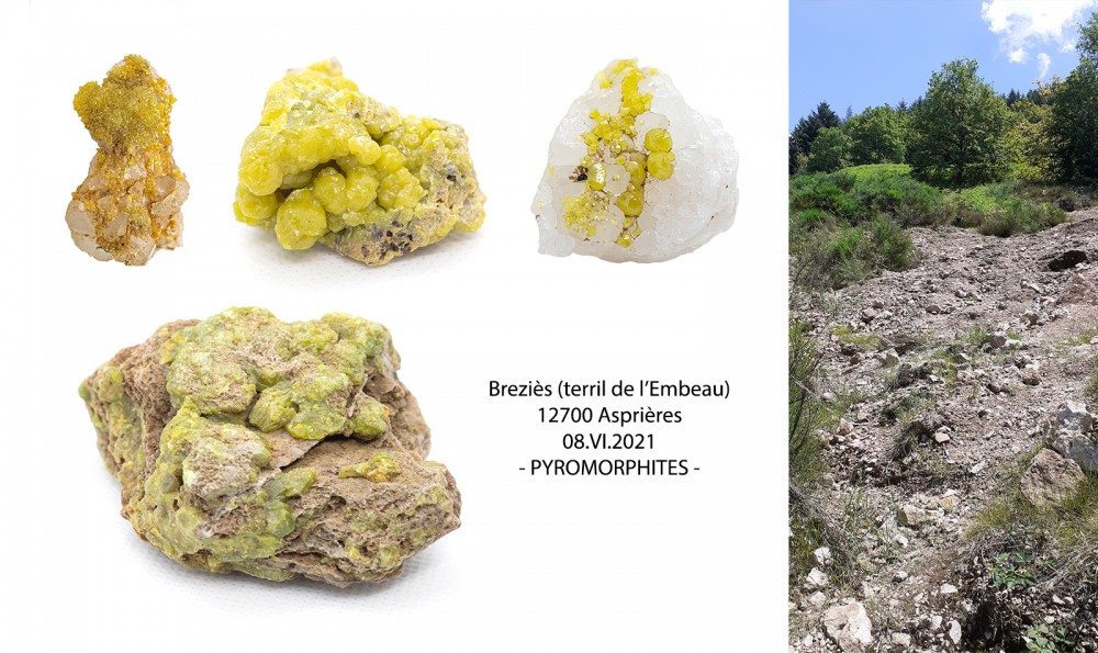 PYROMORPHITES Bq.jpg