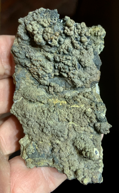 Capture d’écran 2021-06-01 à 23.35.20.png