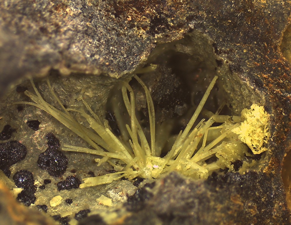 Villecun2021 65x51 s25.jpg