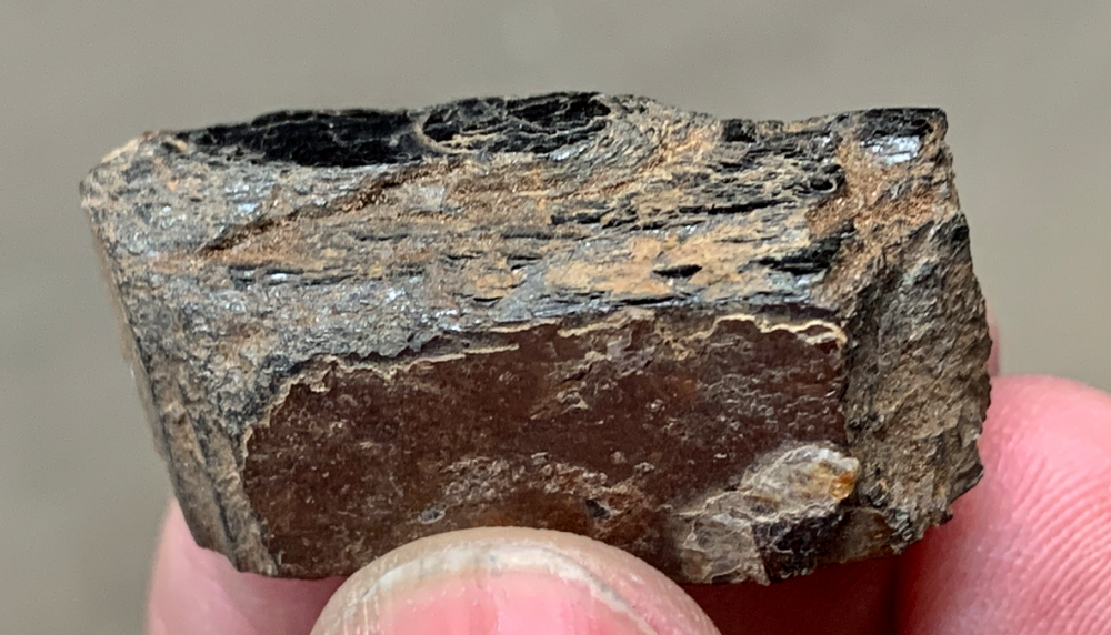 Capture d’écran 2021-06-01 à 23.26.49.png