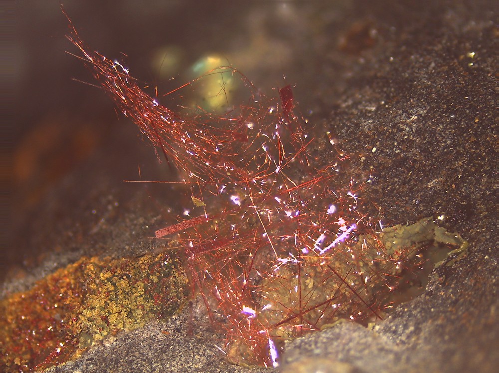 Villecun2021 ss18 108x81.jpg