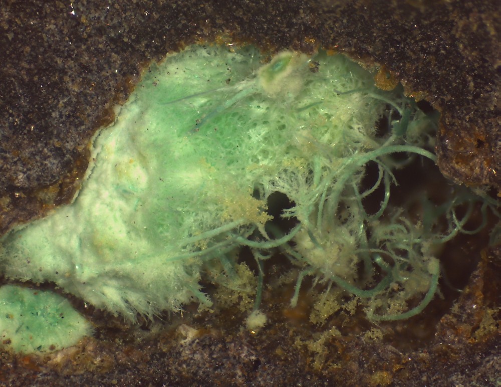 Villecun2021 54x40 s11.jpg