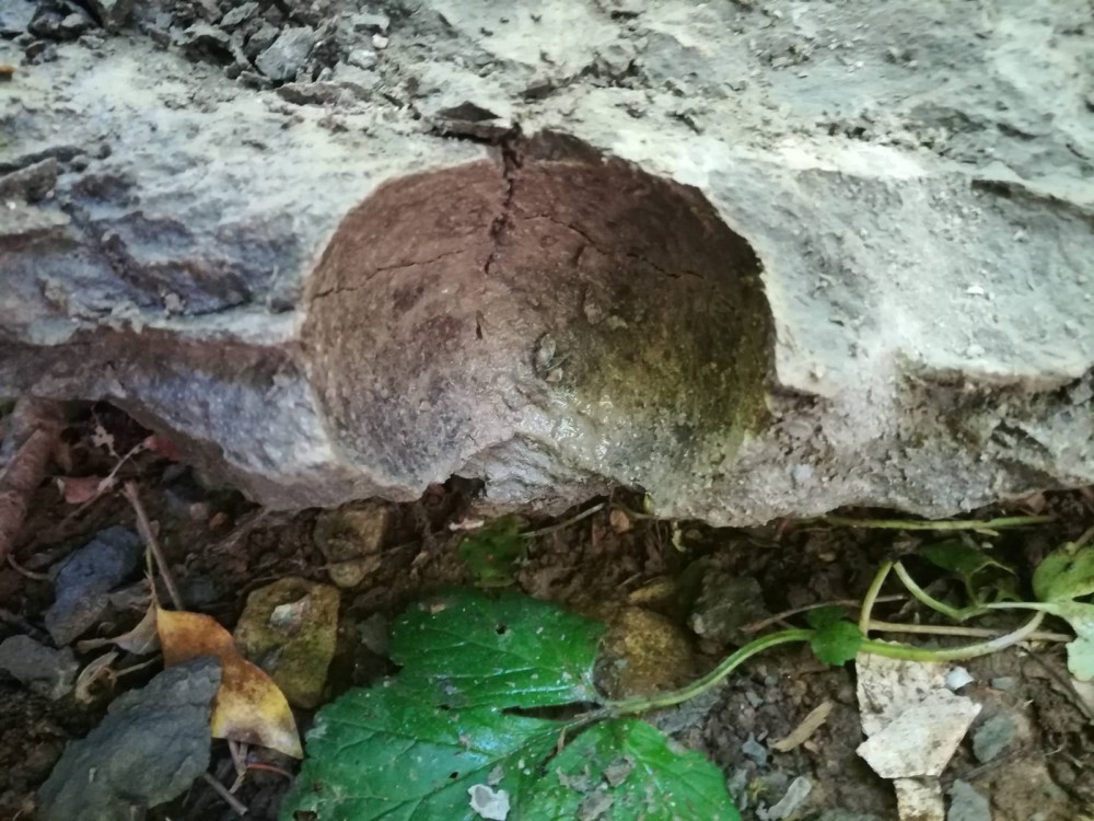 signal-2021-06-13-123522 (1).jpg