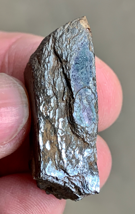 Capture d’écran 2021-06-01 à 23.27.02.png