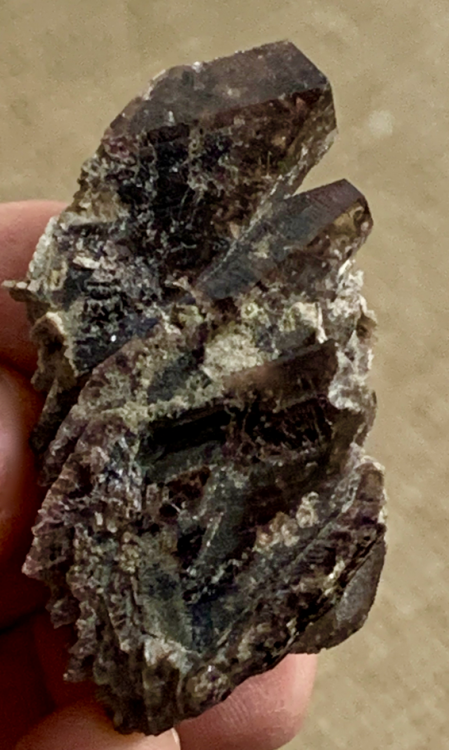 Capture d’écran 2021-06-09 à 20.36.54.png