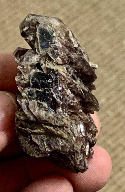 Capture d’écran 2021-06-09 à 20.37.10.png