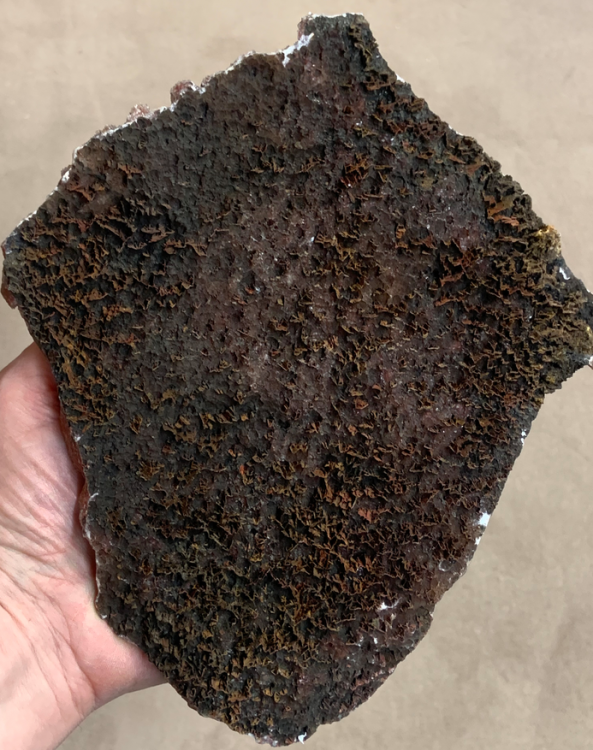 Capture d’écran 2021-07-01 à 20.30.53.png