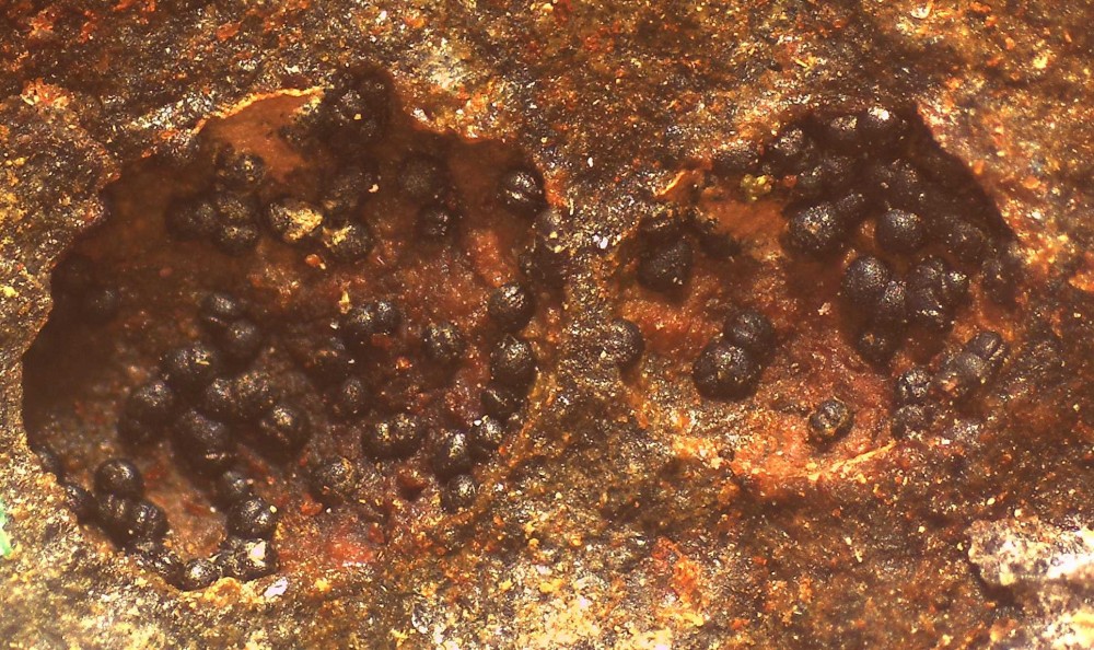 Villecun 54x40 s5.jpg